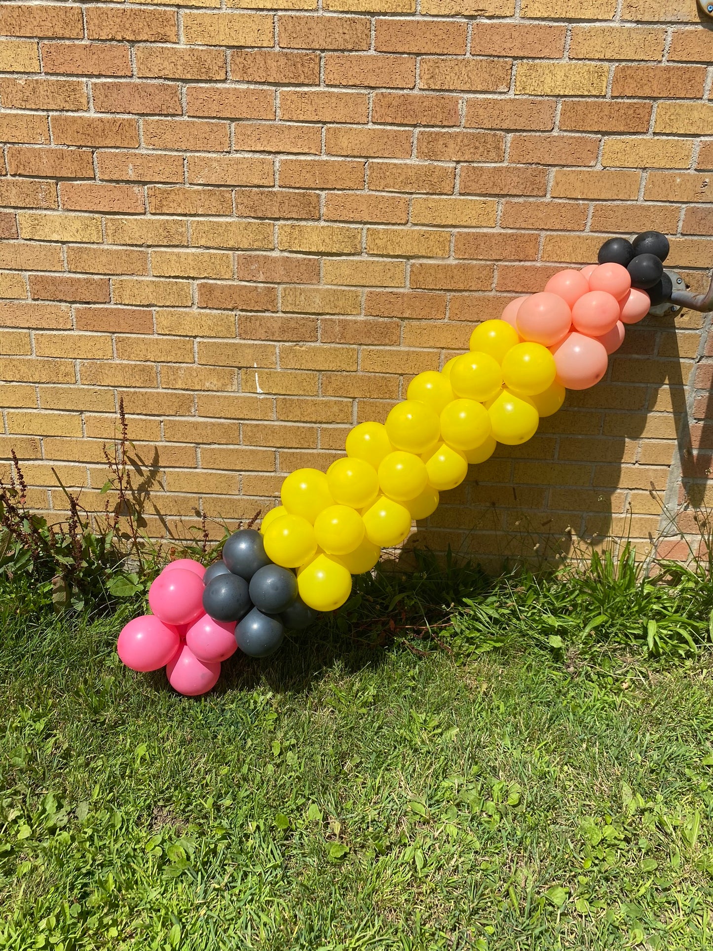 Balloon Sculptures