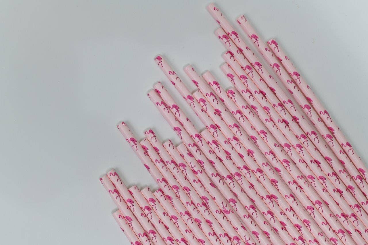 Flamingo Paper Straws