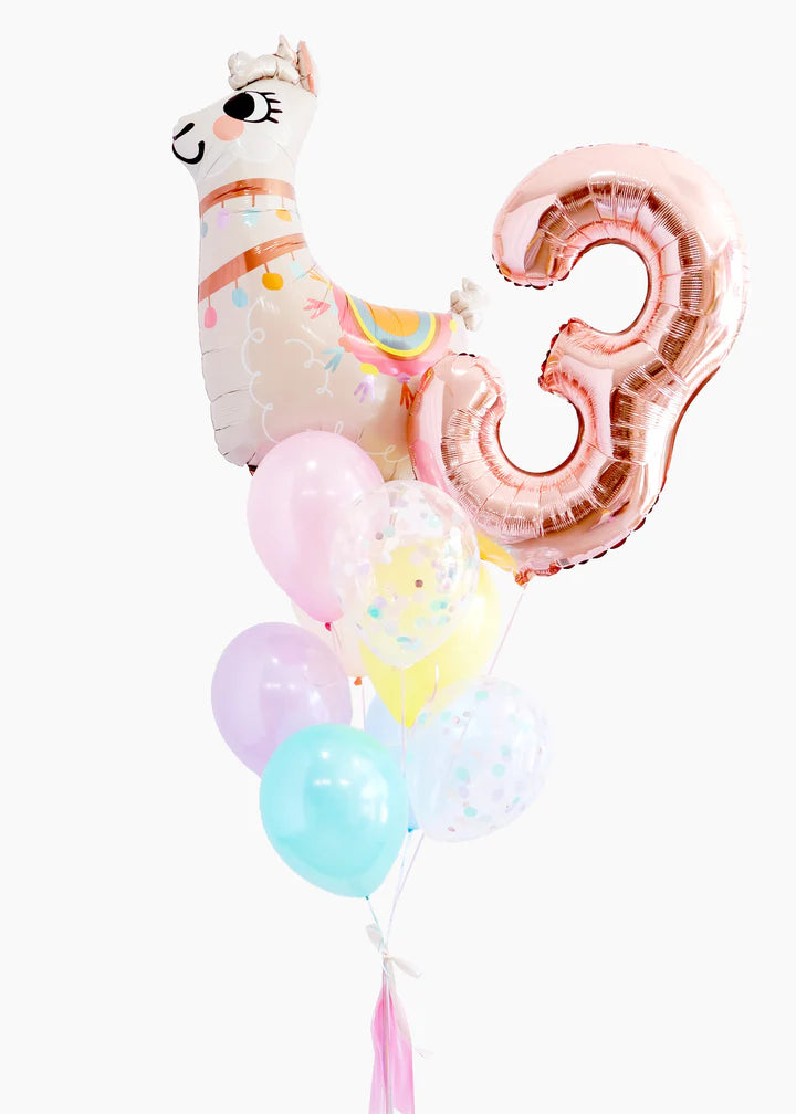 Balloon Fête Surprise