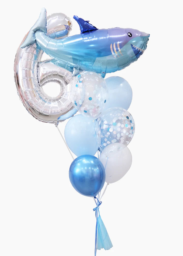 Balloon Fête Surprise