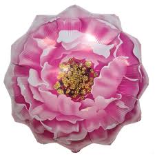 Pink Peony (33")