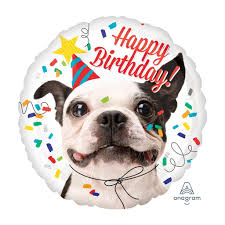 Happy Birthday Pug (18")