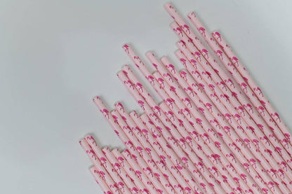 Flamingo Paper Straws