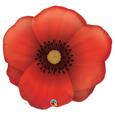 Pretty Poppy (31")